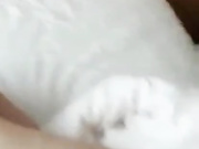 身材娇小的漂亮女友插比流血不让拍，枕头巾擦出血来