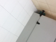 棍哥办公楼WC雅拍女白领-初露锋芒162尾随少女入厕拍她小便.之后电梯上与她交谈