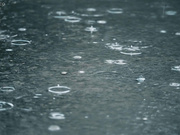 [SQTE-505] ボクの彼女は喧嘩してても濡れてしまう。びしょ濡れSEX・寸止めSEX・イカせまくりSEX 嫉妬中出し3本番 枢木あおい - 1of5