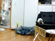 家庭網絡攝像頭破解拍攝到的奶子得挺大的姐妹倆洗澡更衣 貌似妹子身體全是傷疤還上藥 露臉高清