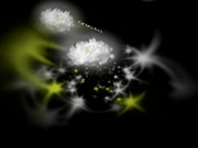 C0930 ki250121 叶井 志摩子 44歳