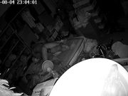 居家攝像頭黑客破解拍攝到的小夫妻大床上啪啪過性生活 互舔互插愛撫手擼打飛機絕對爽歪歪 露臉高清