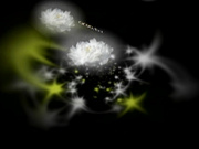 C0930 ki240702 竹下 浩美 45歳