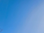 [UBUG-002] 「胸がちっちゃいのが恥ずかしいので、20年間処女でした。でも、今日卒業します…」紗霧（二十歳） 野々宮つかさ - 1of5