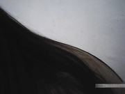 嫖妓大神路邊按摩店約了個很善談的漂亮妹子全套服務 技術不錯體位任由玩弄 服務絕對到位 國語對白～720P高清