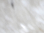 國內廁拍達人尾隨妹子進入公共女廁拍攝各式美女如廁 有個牛仔褲小姐姐貌似憋了很久尿那麽多 720P高清原版