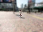 [破解] FJIN-093 メロディー・雛・マークスのM男くん逆ナンパ ファンタスティック騎乗位で男潮吹くまで痴女られた僕たち - 1of5