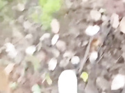 【真实原创母子乱伦】带着淫荡小妈上山采蘑菇，中途她肚子疼去上厕所，没想到儿子直接掏出屌让小妈口