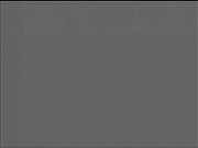 SM把老婆当性奴玩