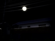 [IMP]兄妹のジョウシキ