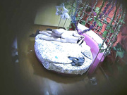 精品酒店情趣房新花床偷拍一对很会玩的文化人鸡巴舔雪糕各种姿势体位草不停声音清晰