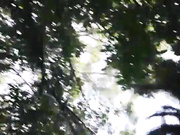 外表清纯漂亮的美女主播野外勾引位路上在树林野战直播,逼逼舔的太舒服又把男的带到酒店让他继续舔操,国语!