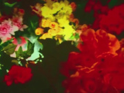 知性熟女范的红色妖姬温柔又严厉的酒店调教小奴，看着让人欲罢不能