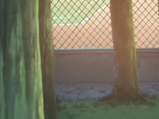 (無修正) 放課後～濡れた制服～ 課外授業2 (DVD 960x720 x264 AAC)