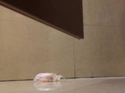 最新国内商场厕拍系列 这期女主的颜值都很不错