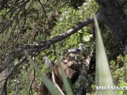 夏日沙滩上一男二女的激战