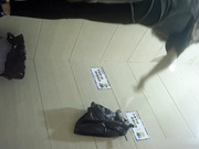 坐盗市最新流出商场全景女厕偷拍其中两个妹子很有撸点