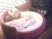 气质性感的美少妇出来偷吃约帅小伙酒店啪啪,美女受不了不让操了,男的还后插干,女说：你不是射了吗,逼都操肿了!