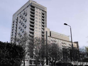 大鸡巴插入红发美妇热乎乎的肥鲍里