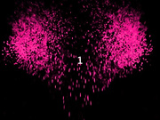 性感高跟黑丝网红和屌男居家啪啪，主动张开双腿被操得淫水直流