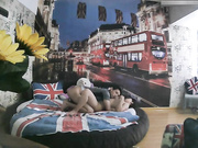 欧美风酒店年轻大学生情侣开房打炮肥臀女友很饥渴进屋就扒掉男友裤子吸舔肉棒搞硬坐上来猛搞叫声表情一流