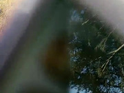 今天天气不错工厂放假了回老家之前和一块打工的女同事到公业园的绿化带里野战