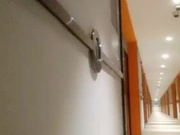 老哥探花约了个丰满妹子TP啪啪 沙发上玩弄一番口交大力猛操非常诱人