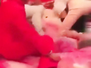 国内最牛X婚礼恶搞精选伴娘被黑衣男按倒吸奶黑衣男遭报复被反骑扒裤子