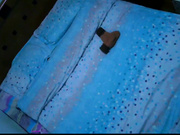 民宿宾馆偷拍附近大学校花级性感美女和帅气男友偷偷开房,颜值高身材棒激战时美女还有点害羞,被男友内射了.国语!