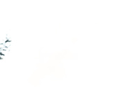 极品嫩模小兔兔约啪附近小哥哥全程露脸让渣男玩逼，道具摩擦阴蒂流水，说着淫话浪叫舔鸡巴，各种体位爆草呻吟