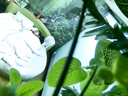 自然房两对年轻学生情侣开房四眼男送走朋友后赶忙与女友大战6个半小时超长时间录制又吃又喝又干也不知道搞了多少炮