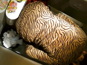 国内会所极品OL上厕所，下体全景一览无余第四部