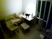 【精品推薦】【家庭偷窺第三季】最新破解家庭攝像頭拍攝到的小夫妻日常(第十六部)～原版高清