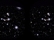 ELA - ist Deine Orgasmus-Garantie