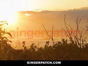 失足红发少女 Krystal Orchid 享受欲仙欲死的交欢