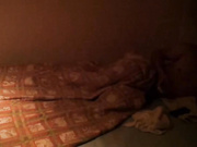 喜欢成熟少妇有女人味的硬朗小伙旅店嫖妓提前藏好摄像头娇小马尾辫少妇被多种体位狠狠操