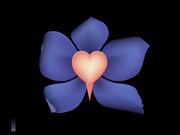 按摩室大天然山雀给Alexis带来水晶般的高潮