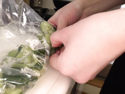 [SVFTI-001] 咀嚼のグルメ もえ19才 看護学生 - 2of5