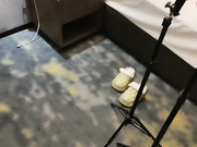 风骚婊妹让小哥各种体位暴力抽插打桩式爆草